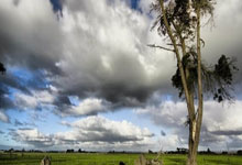 乐鱼体育在线娱乐-伯纳乌的飓风夜！碾压胜利背后，裁判成了主角？