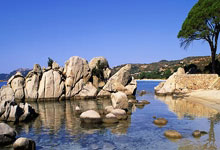 乐鱼官网-利物浦跨界NBA惨遭掘金血洗？官方名单惊现足球巨星！